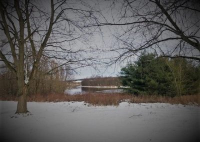 Overlooking the river